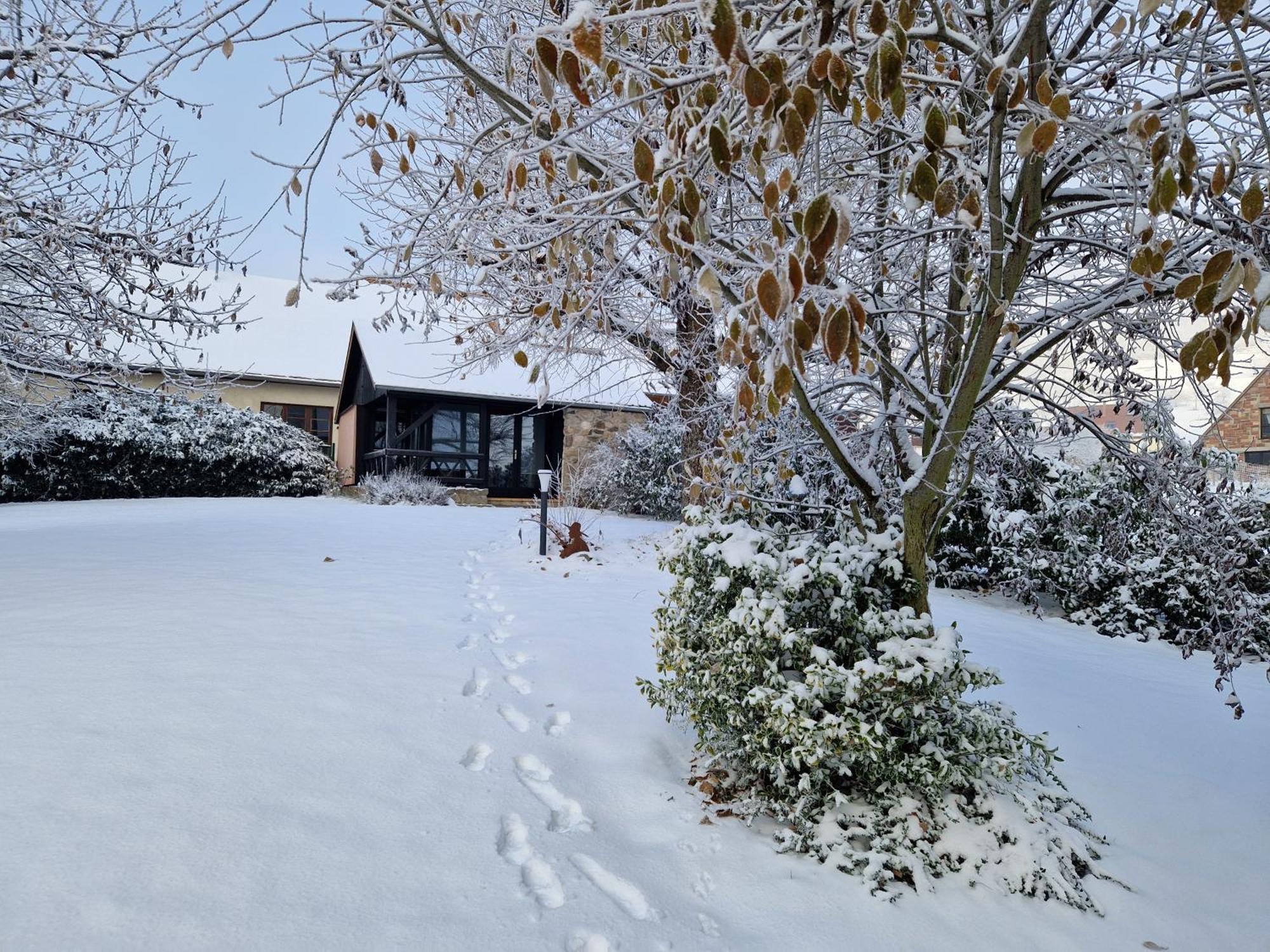 Le Breit Maison De Charme Avec Sa Dependance Breitenbach Luaran gambar